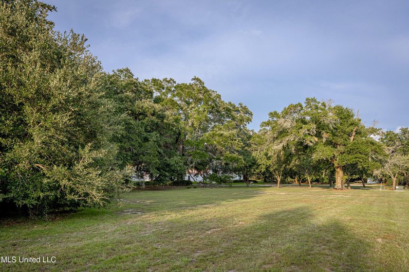 Gorgeous, centuries-old majestic oaks line these level, one-acre - photo 20