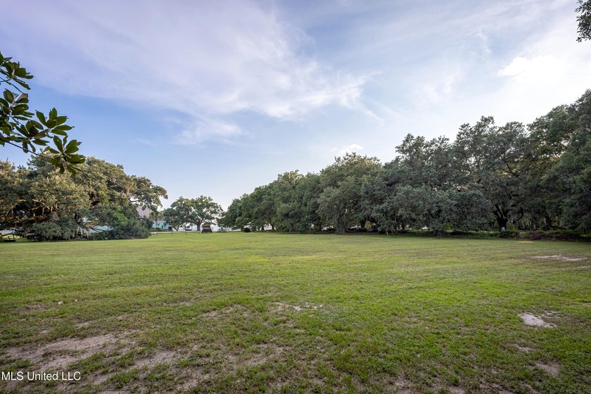 Gorgeous, centuries-old majestic oaks line these level, one-acre - photo 21