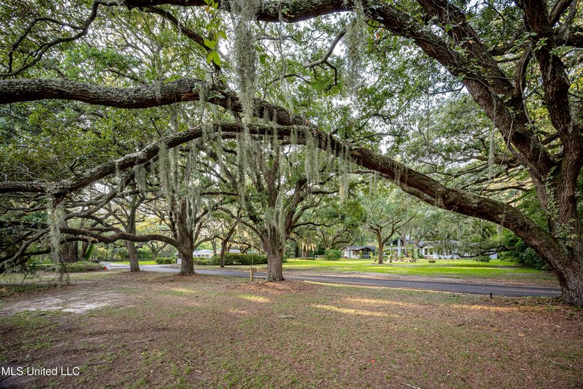 Gorgeous, centuries-old majestic oaks line these level, one-acre - photo 22