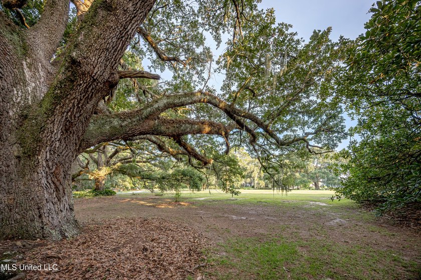 Gorgeous, centuries-old majestic oaks line these level, one-acre - photo 24