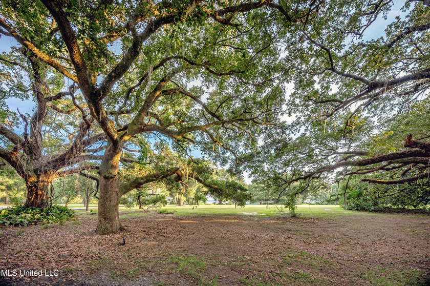 Gorgeous, centuries-old majestic oaks line these level, one-acre - photo 25