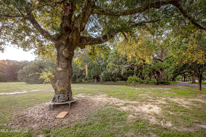 Gorgeous, centuries-old majestic oaks line these level, one-acre - photo 27