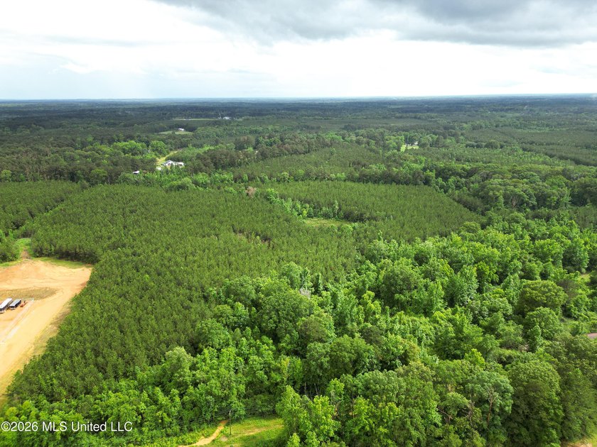 Lot for sale in Brookhaven, MSe check out this +/- 15-acre - photo 2