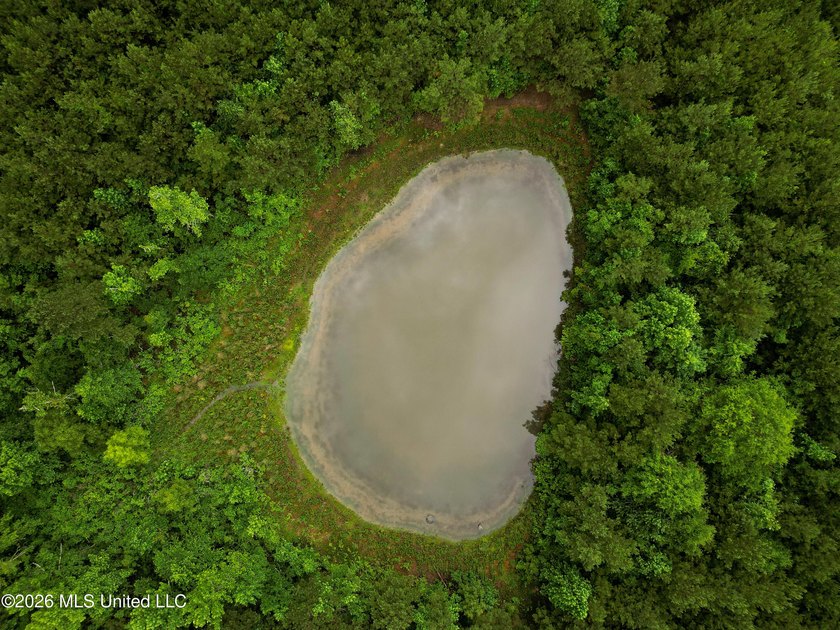 Lot for sale in Brookhaven, MSe check out this +/- 15-acre - photo 4