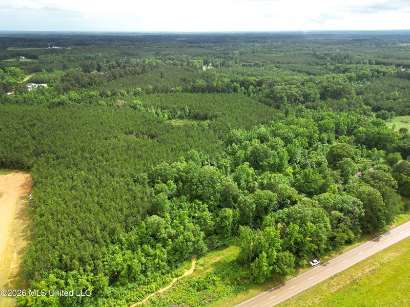 Lot for sale in Brookhaven, MSe check out this +/- 15-acre - photo 6
