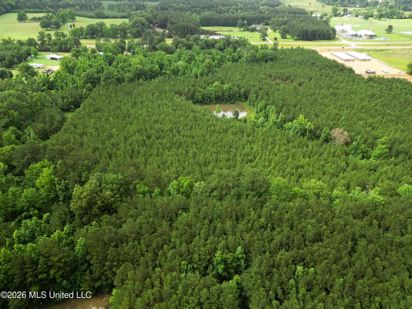 Lot for sale in Brookhaven, MSe check out this +/- 15-acre - photo 7