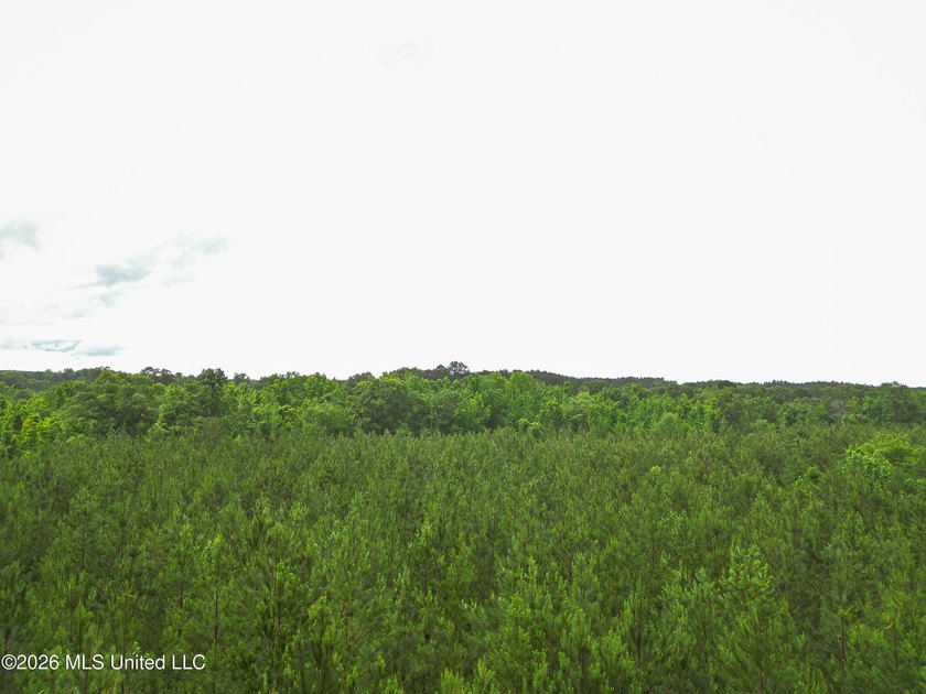 Lot for sale in Brookhaven, MSe check out this +/- 15-acre - photo 9