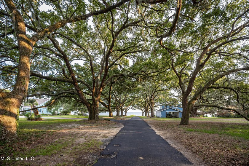 Gorgeous, centuries-old majestic oaks line these level, one-acre - photo 17
