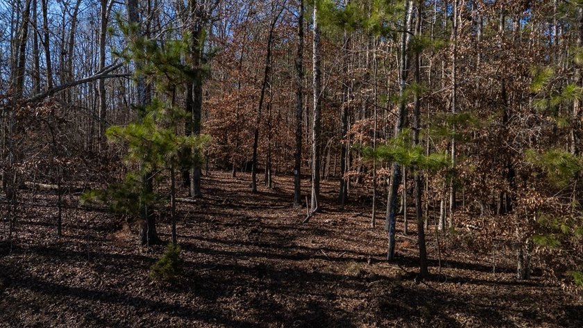 Prime 14.65-Acre Estate or Development Opportunity in Harborside - photo 23