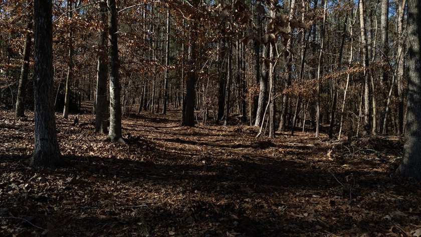 Prime 14.65-Acre Estate or Development Opportunity in Harborside - photo 24
