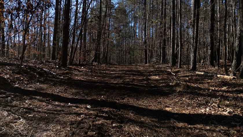 Prime 14.65-Acre Estate or Development Opportunity in Harborside - photo 25