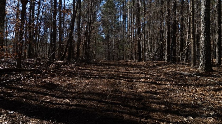 Prime 14.65-Acre Estate or Development Opportunity in Harborside - photo 26