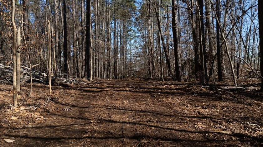Prime 14.65-Acre Estate or Development Opportunity in Harborside - photo 28