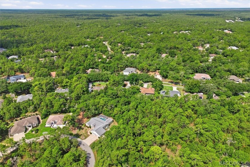 Welcome to this move-in ready home in Sugarmill Woods, where - photo 32