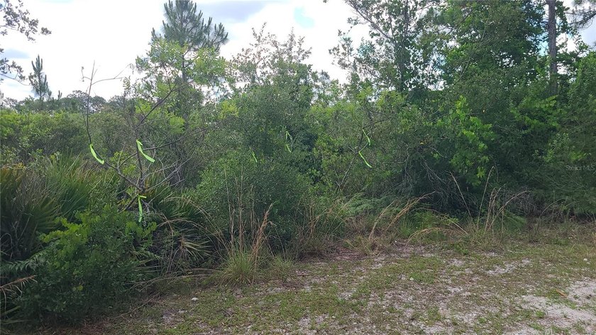 Blue Jordan Forest is a gated community in southeast Polk County - photo 5