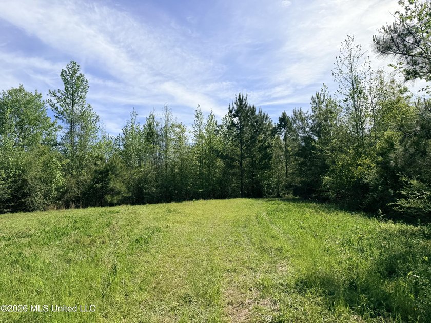 Discover the peace, privacy, and endless potential of this - photo 13