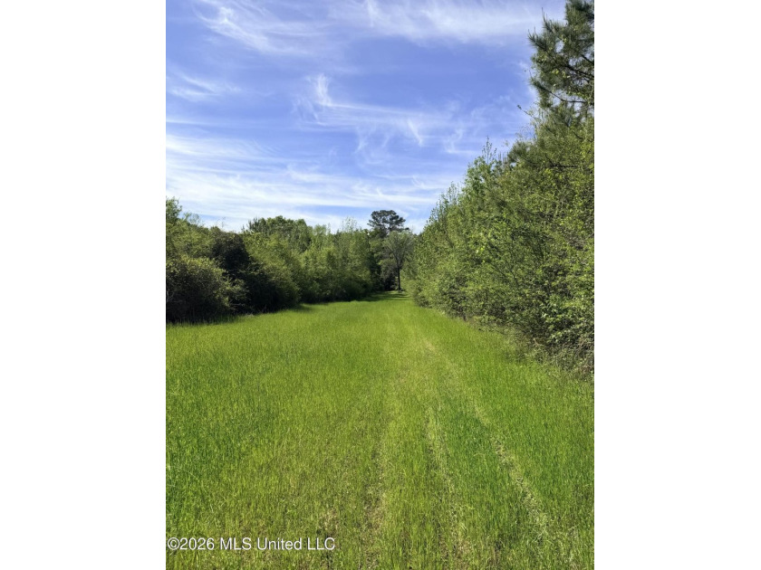 Discover the peace, privacy, and endless potential of this - photo 14