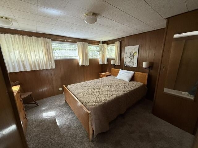 FOR SALE: Ultimate Wooded Lake Retreat Near Goose LakeEscape to - photo 16