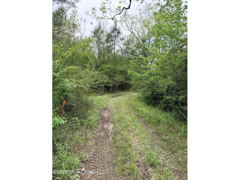 Discover the peace, privacy, and endless potential of this - photo 16