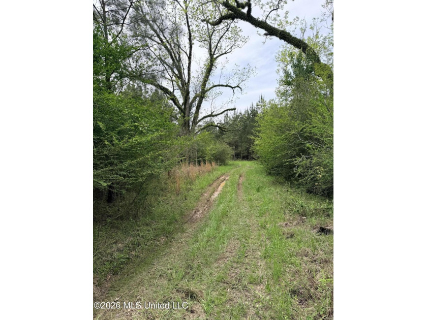 Discover the peace, privacy, and endless potential of this - photo 17