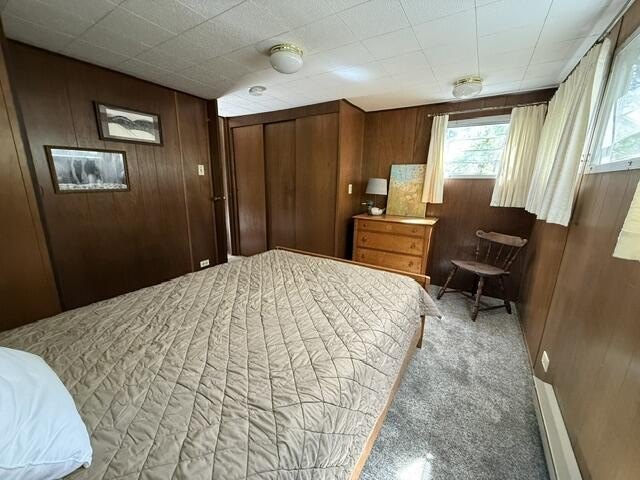 FOR SALE: Ultimate Wooded Lake Retreat Near Goose LakeEscape to - photo 18