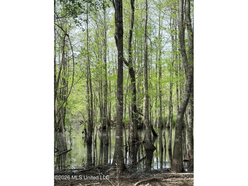 Discover the peace, privacy, and endless potential of this - photo 20