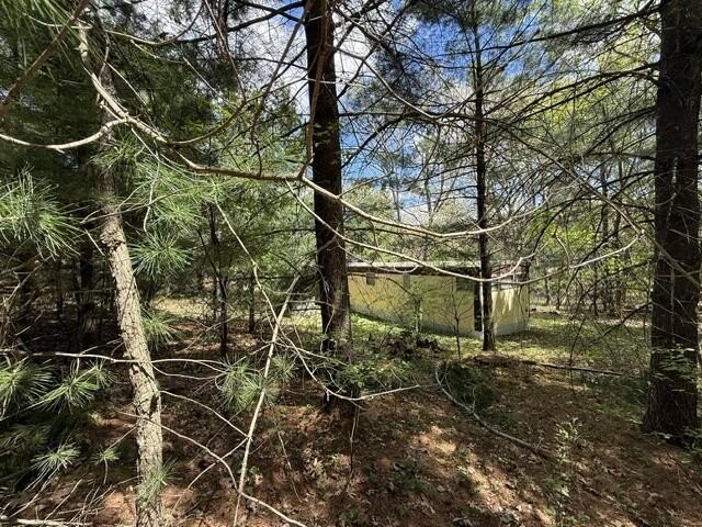 FOR SALE: Ultimate Wooded Lake Retreat Near Goose LakeEscape to - photo 21