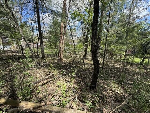 FOR SALE: Ultimate Wooded Lake Retreat Near Goose LakeEscape to - photo 22