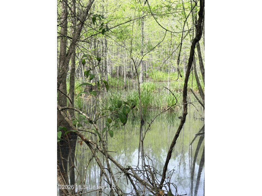 Discover the peace, privacy, and endless potential of this - photo 22