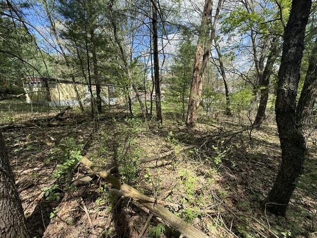 FOR SALE: Ultimate Wooded Lake Retreat Near Goose LakeEscape to - photo 23