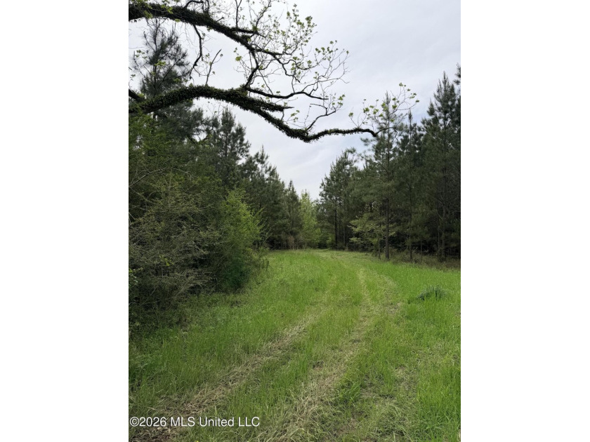 Discover the peace, privacy, and endless potential of this - photo 23