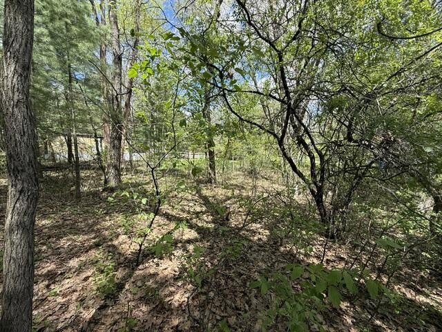 FOR SALE: Ultimate Wooded Lake Retreat Near Goose LakeEscape to - photo 24