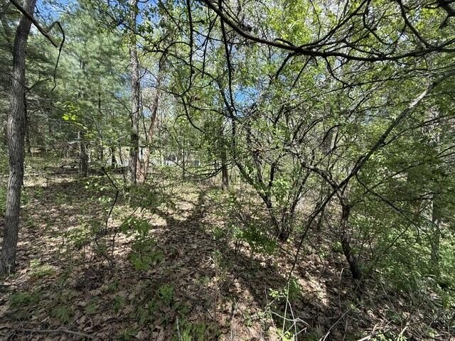 FOR SALE: Ultimate Wooded Lake Retreat Near Goose LakeEscape to - photo 25