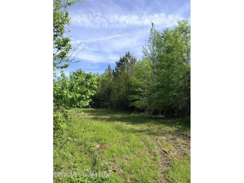 Discover the peace, privacy, and endless potential of this - photo 27