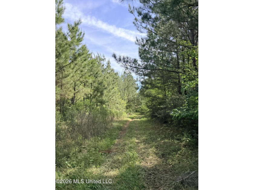 Discover the peace, privacy, and endless potential of this - photo 29