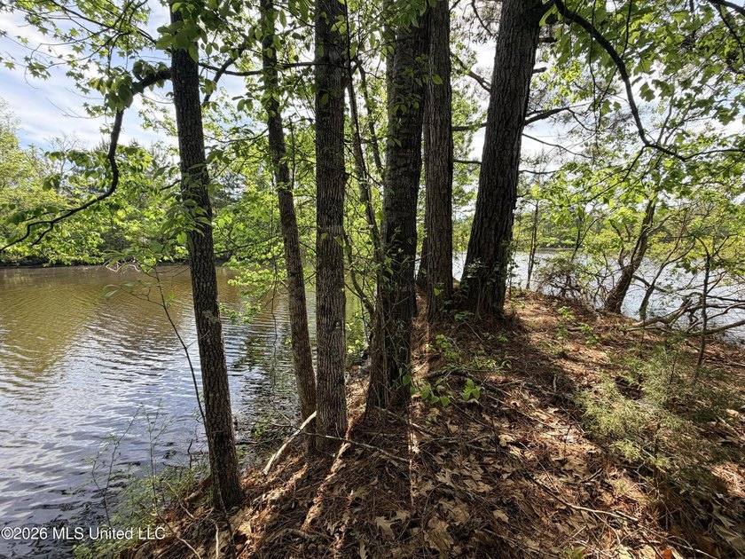 Discover the peace, privacy, and endless potential of this - photo 32