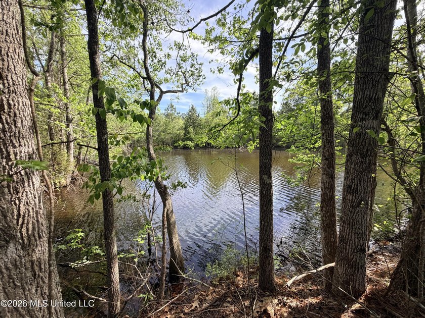 Discover the peace, privacy, and endless potential of this - photo 33