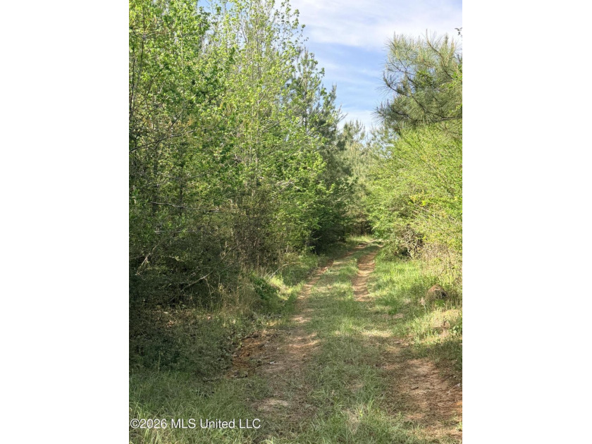 Discover the peace, privacy, and endless potential of this - photo 34