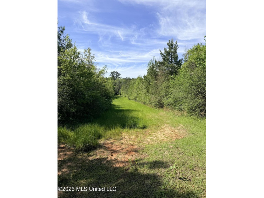 Discover the peace, privacy, and endless potential of this - photo 36