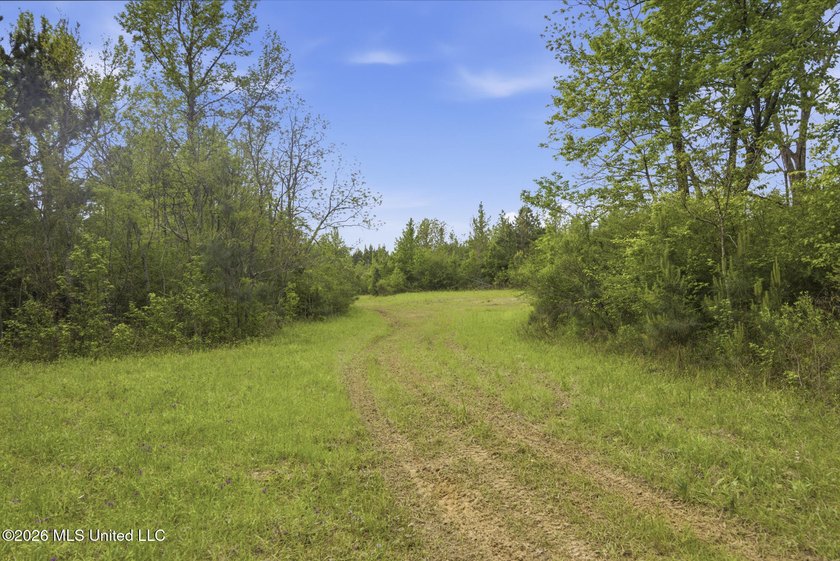 Discover the peace, privacy, and endless potential of this - photo 41