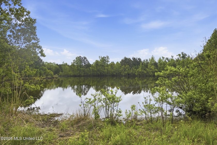 Discover the peace, privacy, and endless potential of this - photo 42