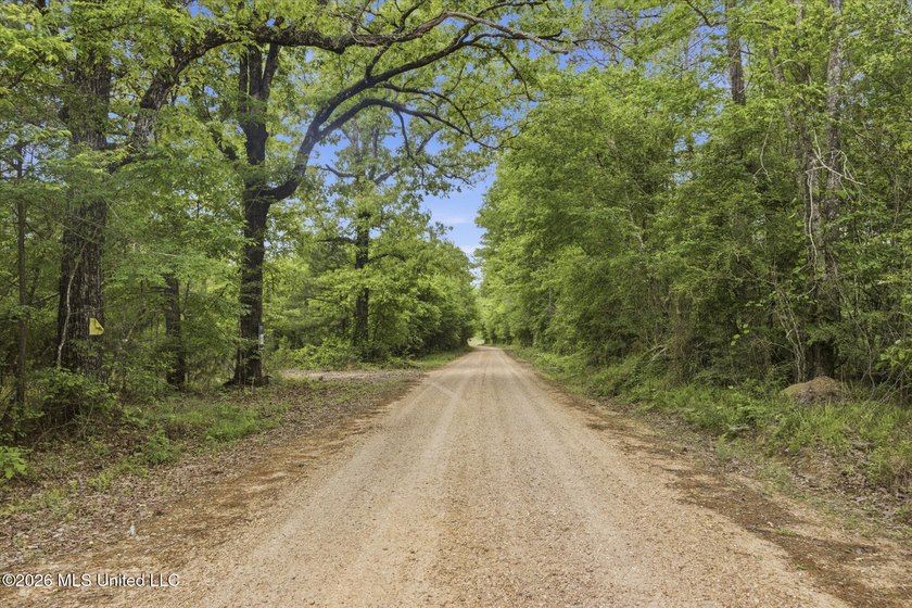 Discover the peace, privacy, and endless potential of this - photo 45
