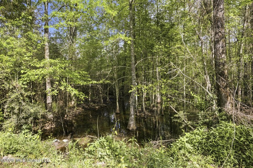 Discover the peace, privacy, and endless potential of this - photo 47