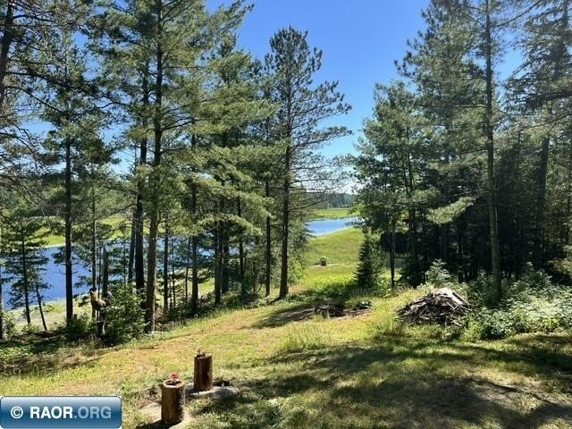 The beautiful *Vermilion River* is right out the door of this - photo 7