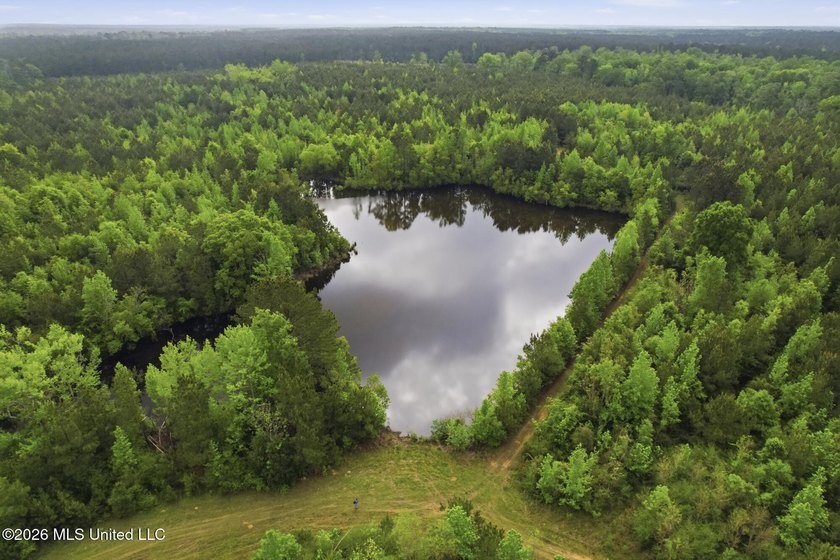 Discover the peace, privacy, and endless potential of this - photo 49