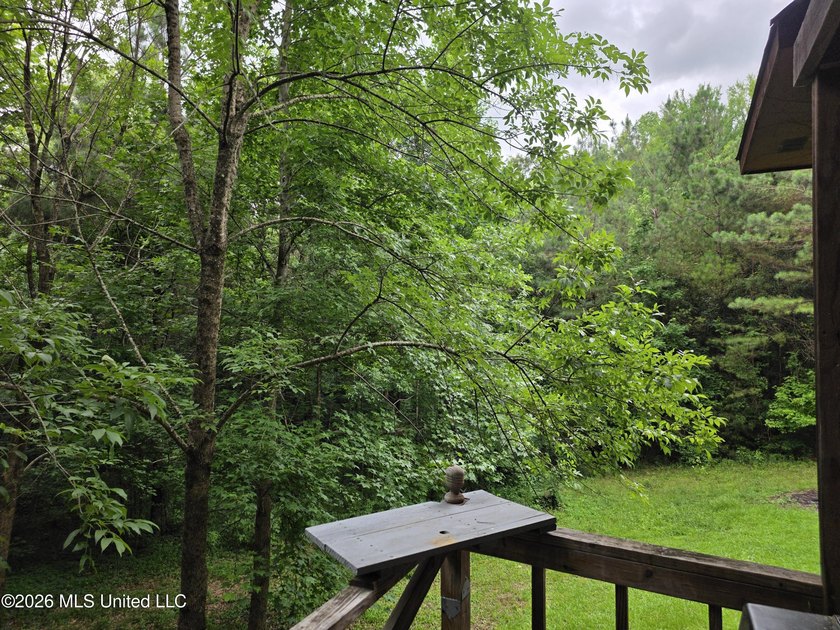 For sale is a 3-story home situated at 2025 Hendrix Road in the - photo 22