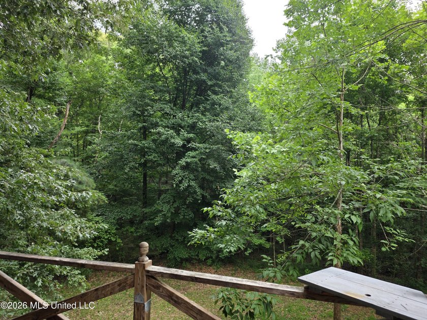 For sale is a 3-story home situated at 2025 Hendrix Road in the - photo 23