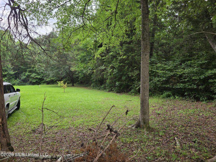 For sale is a 3-story home situated at 2025 Hendrix Road in the - photo 27