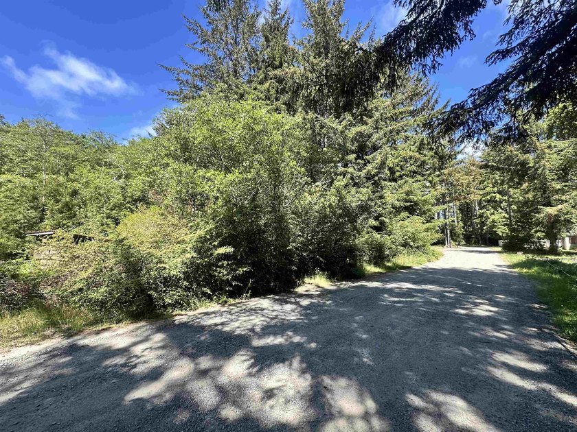 Sunny 0.68-acre lot for sale, just 3 miles from the beach in - photo 3