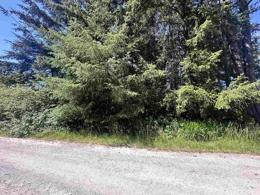 Sunny 0.68-acre lot for sale, just 3 miles from the beach in - photo 4